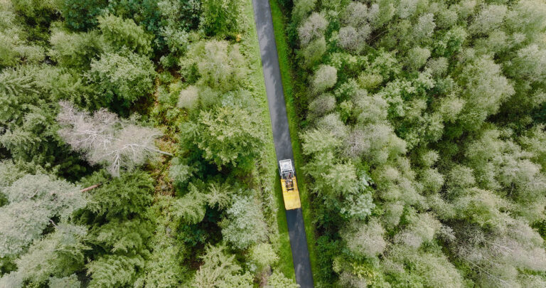 Vue aérienne d'une forêt et d'un chemin Photo réalisée par Adrien Becker pour Lithium de France