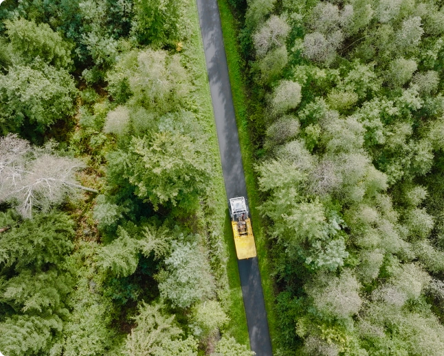 Vue aérienne d'une forêt et d'un chemin Photo réalisée par Adrien Becker pour Lithium de France, Alsace