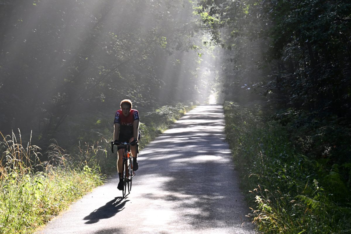 Chemin de forêt avec un cycliste en Alsace Photo réalisée par Thomas Goisque pour Lithium de France